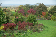 DSC3346